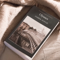 Notes on Unfinishable Books: Ulysses